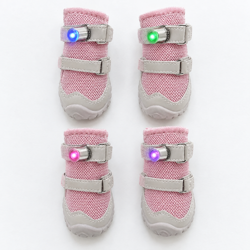 PawGlo LED Walking Shoes