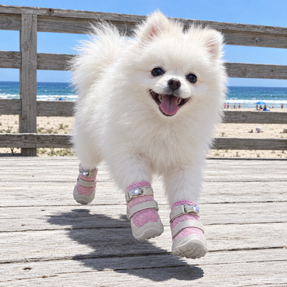 PawGlo LED Walking Shoes