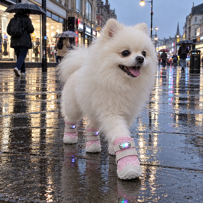 PawGlo LED Walking Shoes